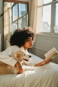 pexel-chien-blog-carnon-voyage-animaux-livre-conseils