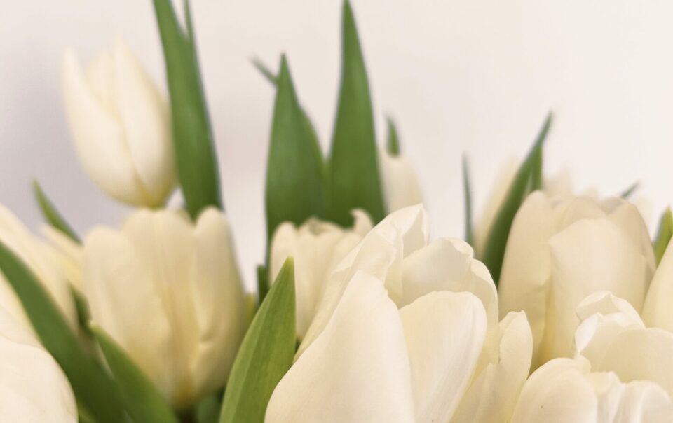 fleurs-bouquet-hotel-neptune-printemps-activités-pinterest-idées-girly-romantique-couple-vase-fleuriste-montpellier-palavas-lagrandemotte-carnon