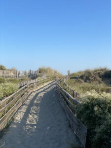 plage-carnon-printemps-ete-automne-hiver-baie-sauvage-vivre-sud-montpellier-palavas-herault-occitanie