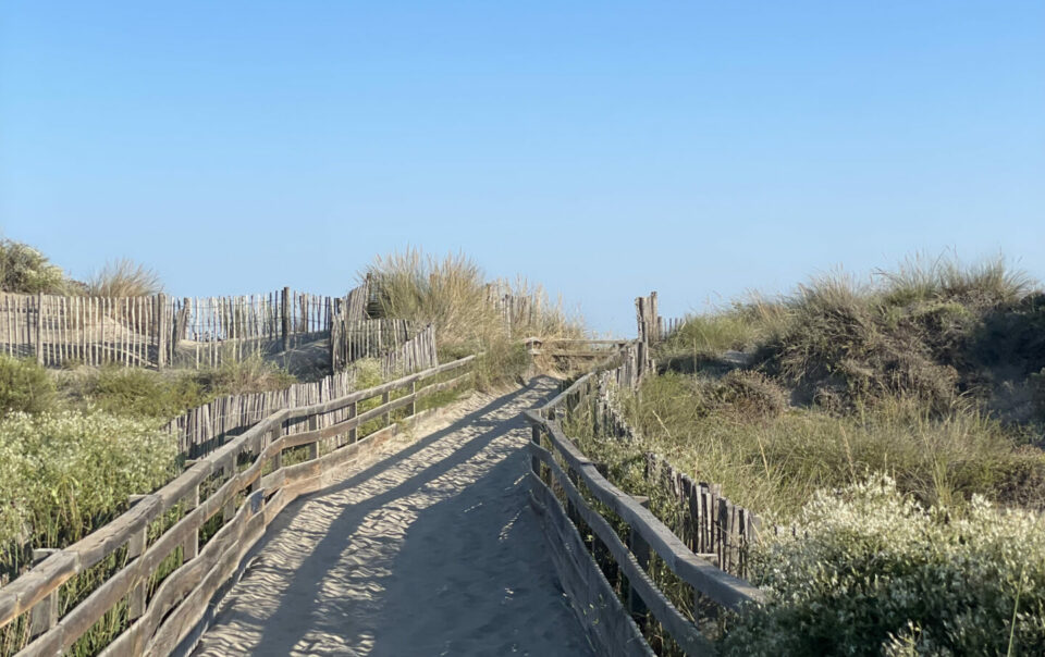 plage-carnon-printemps-ete-automne-hiver-baie-sauvage-vivre-sud-montpellier-palavas-herault-occitanie