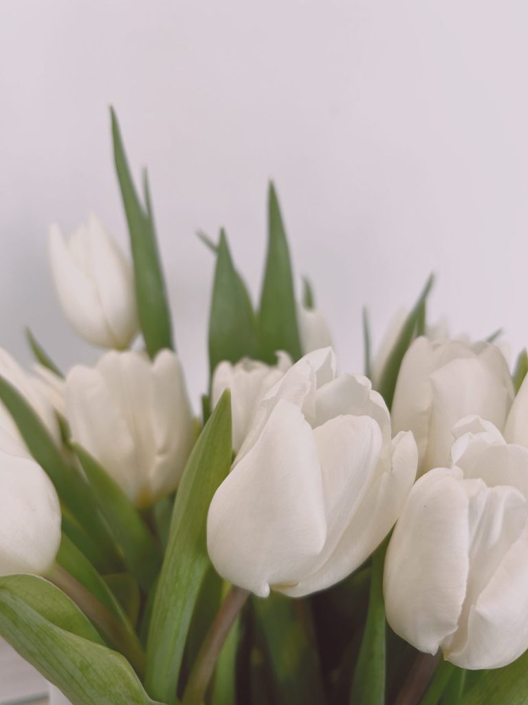 printemps - fleurs - saison - hotel - soleil