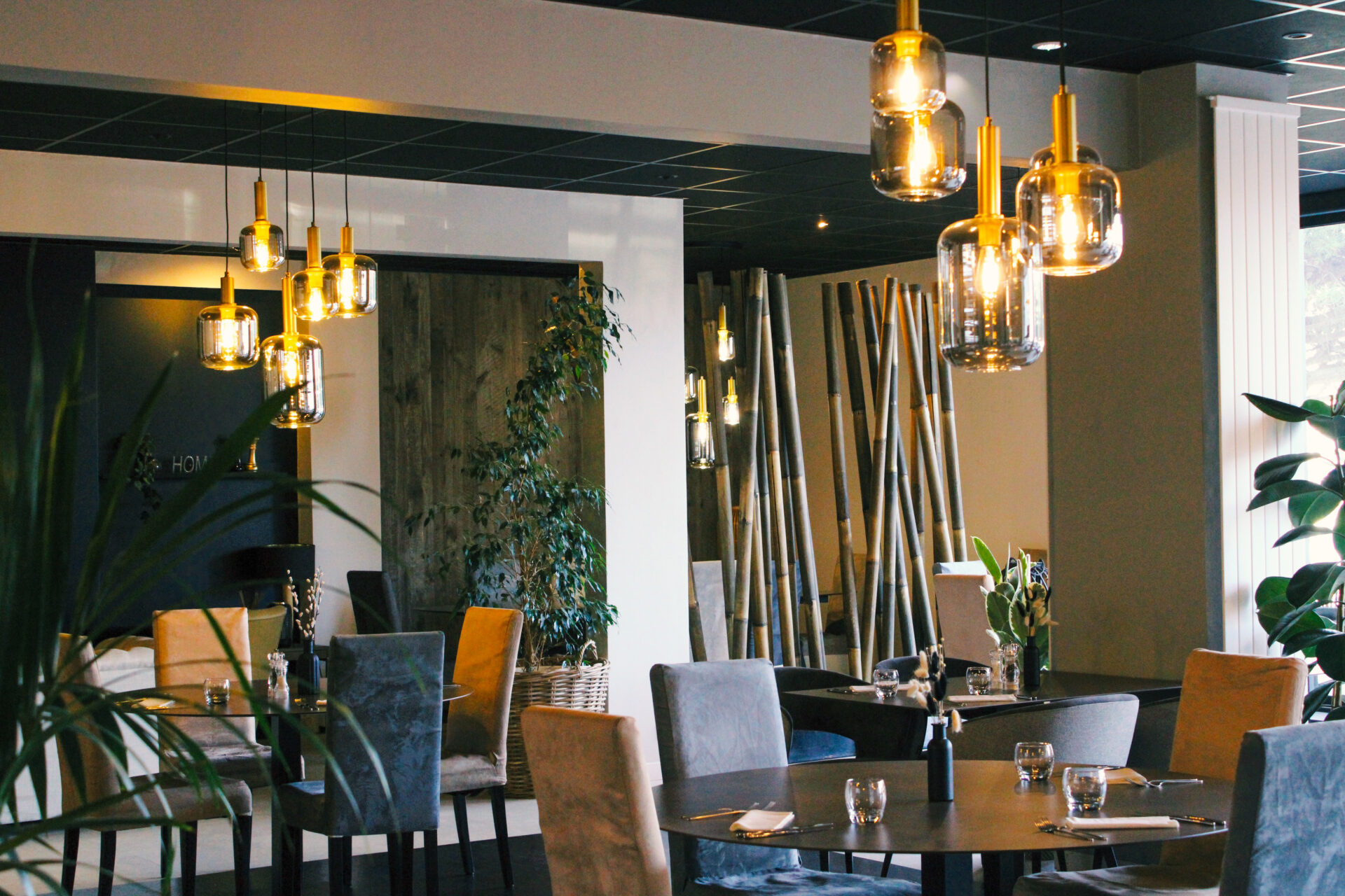 Restaurant Montpellier Hôtel Demi pension